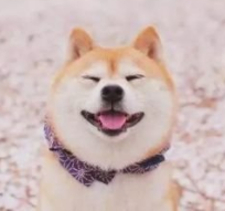 宝宝咳嗽的几个注意点