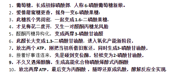 糖酵解10步记忆口诀是什么