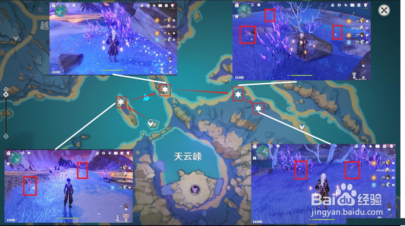 原神鸣草位置大全2022