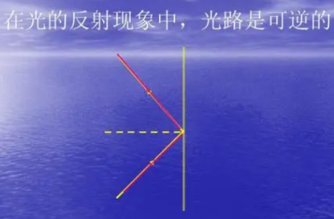 在灯光下读书写字利用了光的什么原理