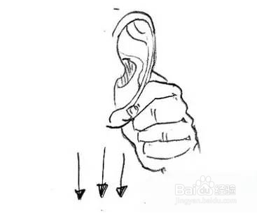 经验分享：不花钱易操作的养肾秘方