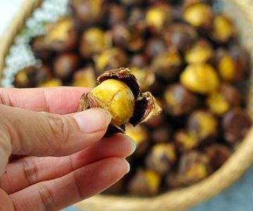 板栗怎么快速去壳去皮