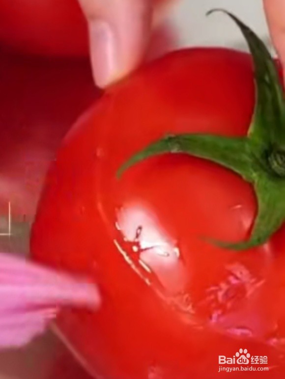 芝士焗番茄蛋怎么做