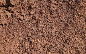 三七粉多少钱一斤，点击查看三七粉价格