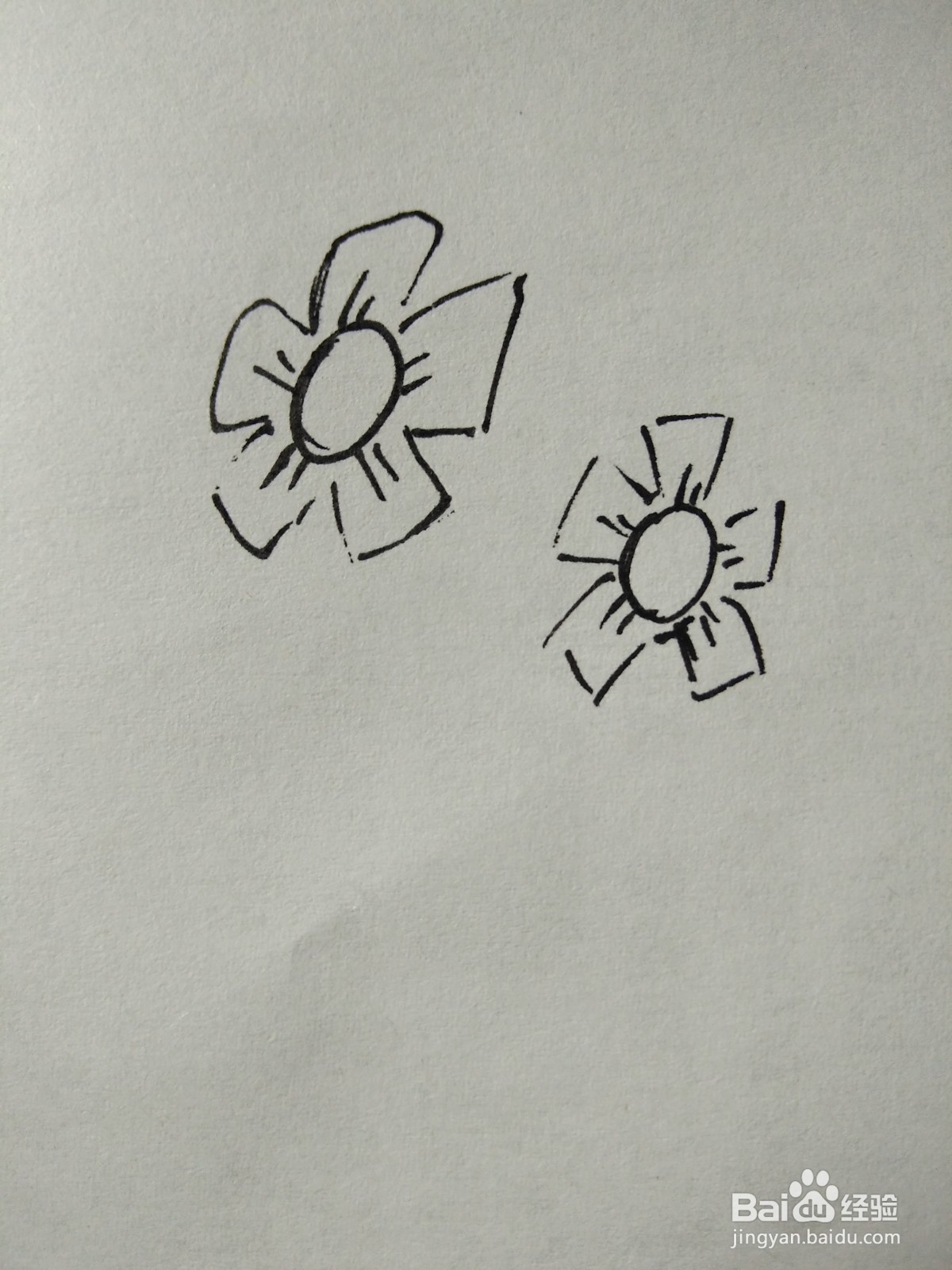 简笔画花朵图片