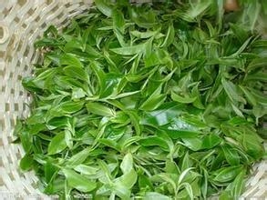 如何解决头发油腻-护发高招