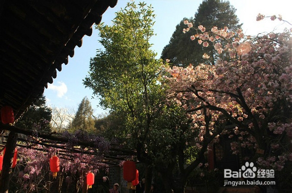 云彼天南,大研故事(一)