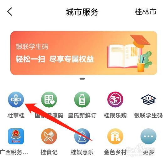 城市合作医疗网上怎么交
