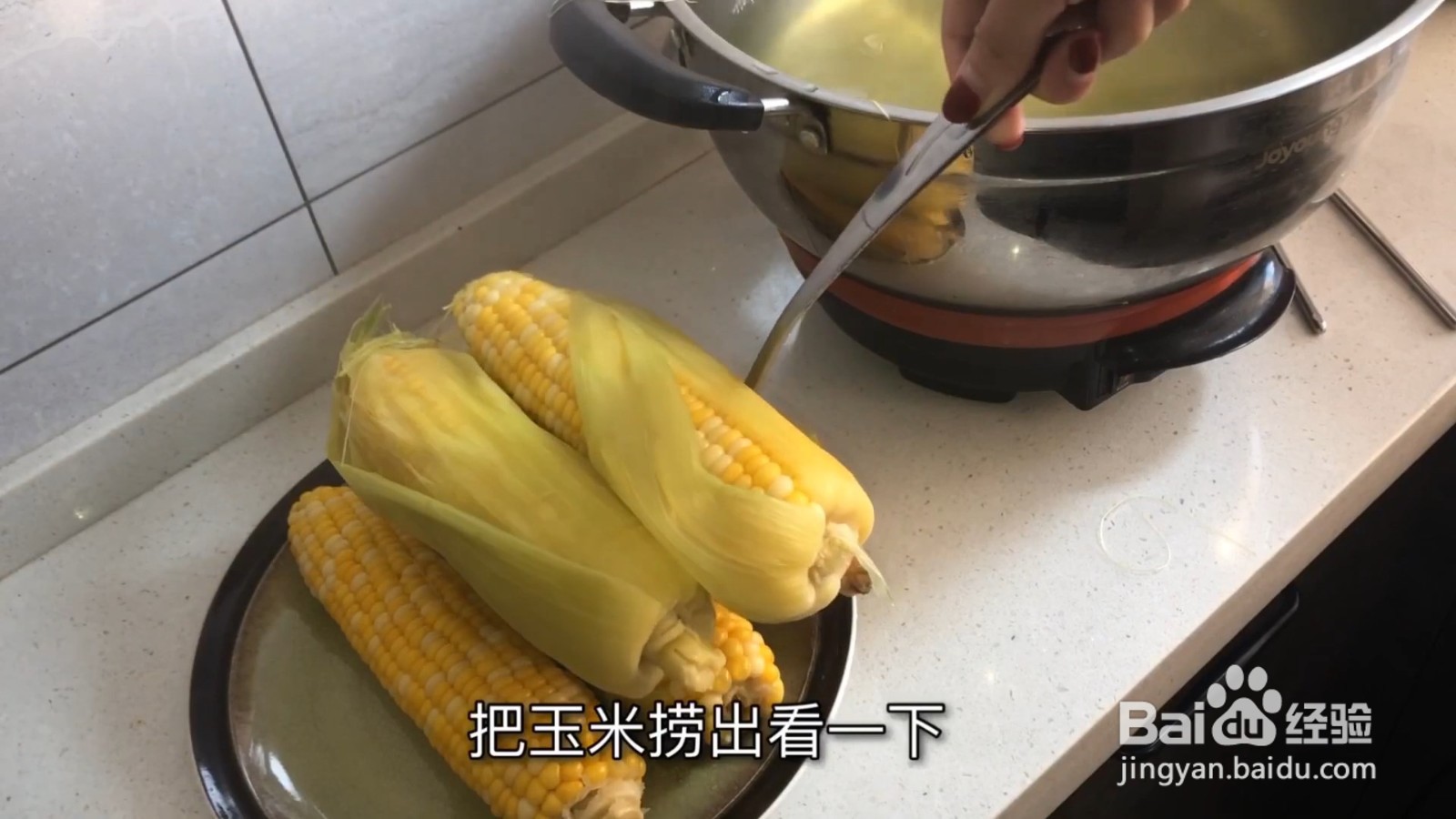 教你一招煮玉米,煮好的玉米又香又糯