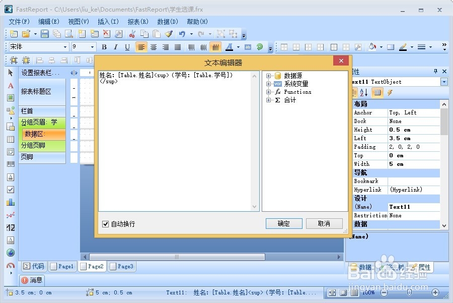 FastReport.Net使用：[6]HTML标签使用