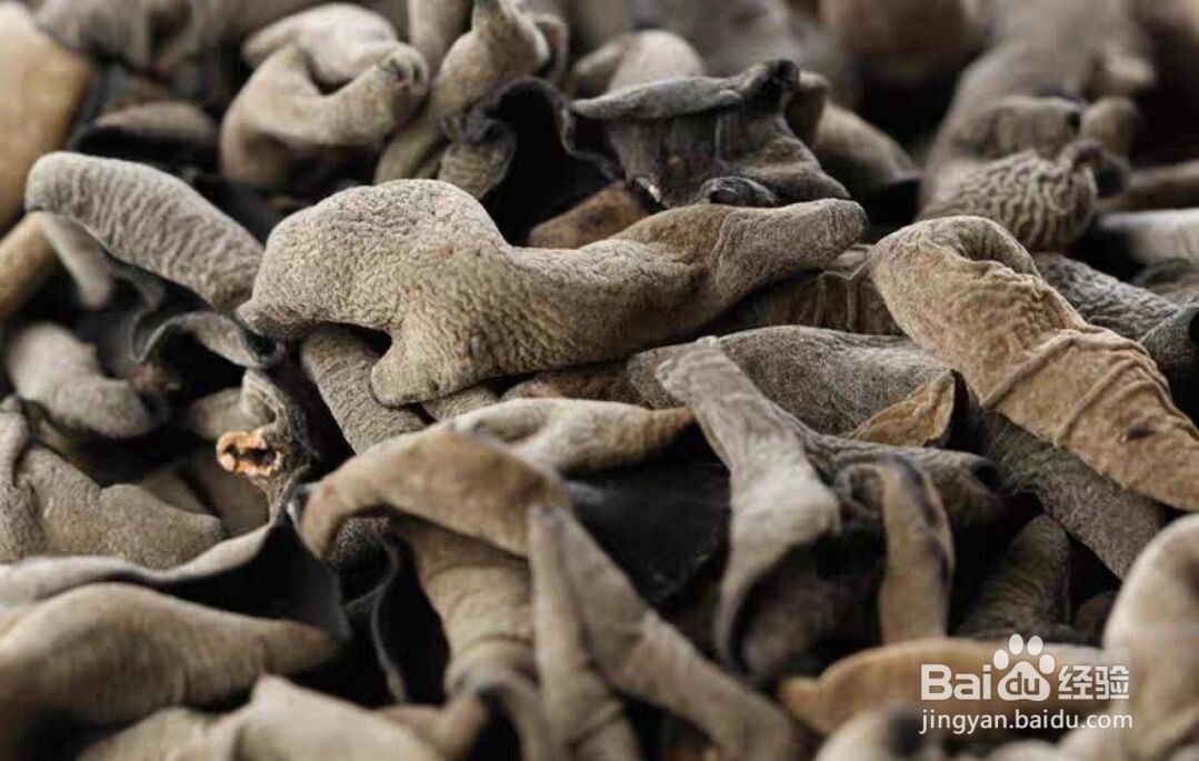 简单好做的洋葱拌木耳