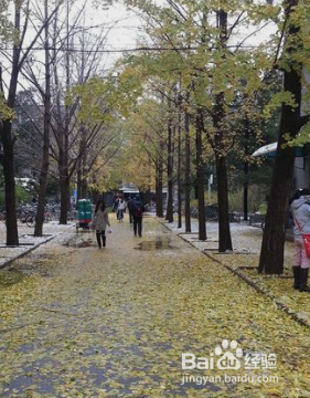 北京市入职体检流程