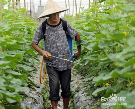 磷酸二氢钾的使用方法