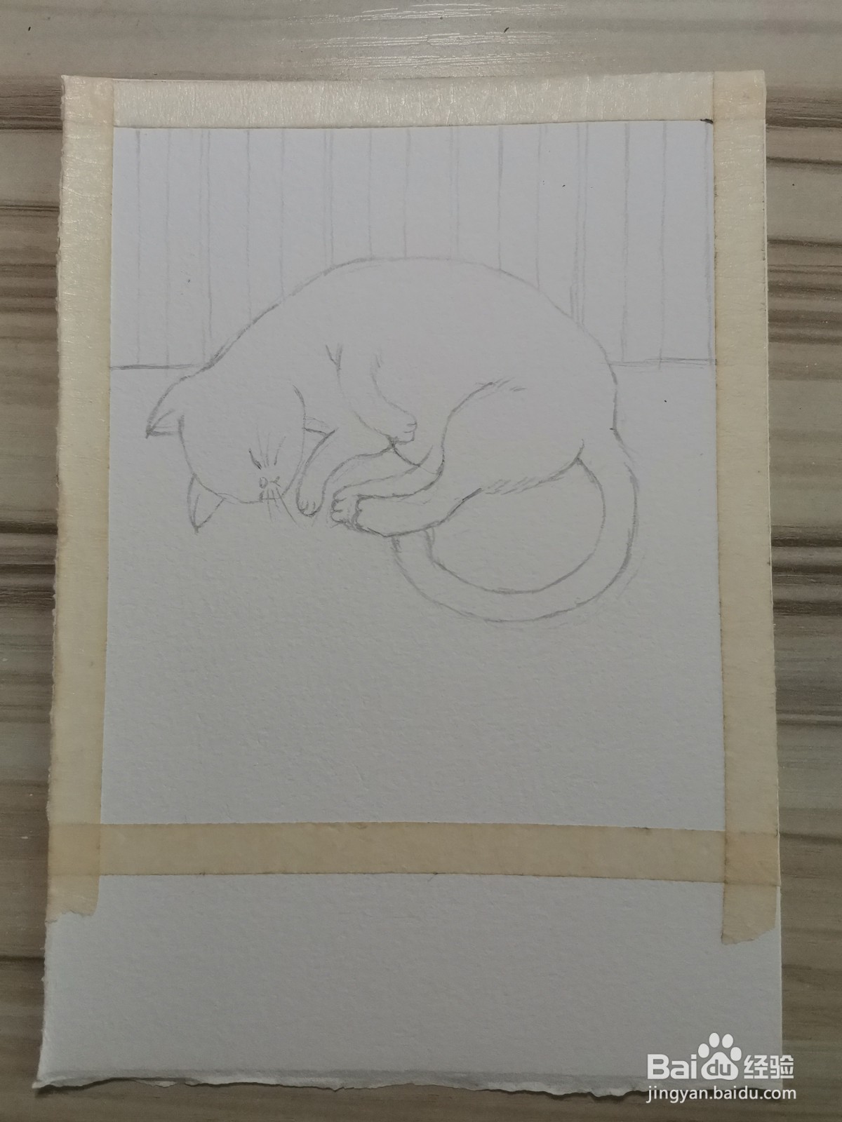 我家的猫咪水彩手绘线稿教程