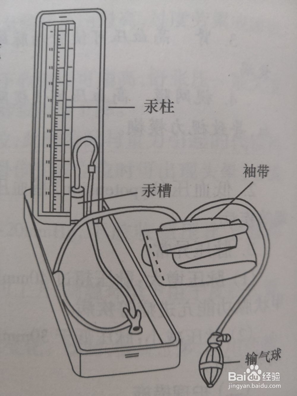 护理操作：血压测量法