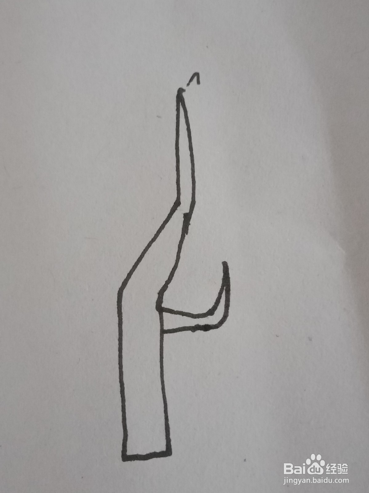 幼儿园简笔画树木