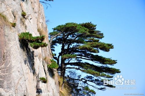 翡翠谷：毕竟黄山第五绝