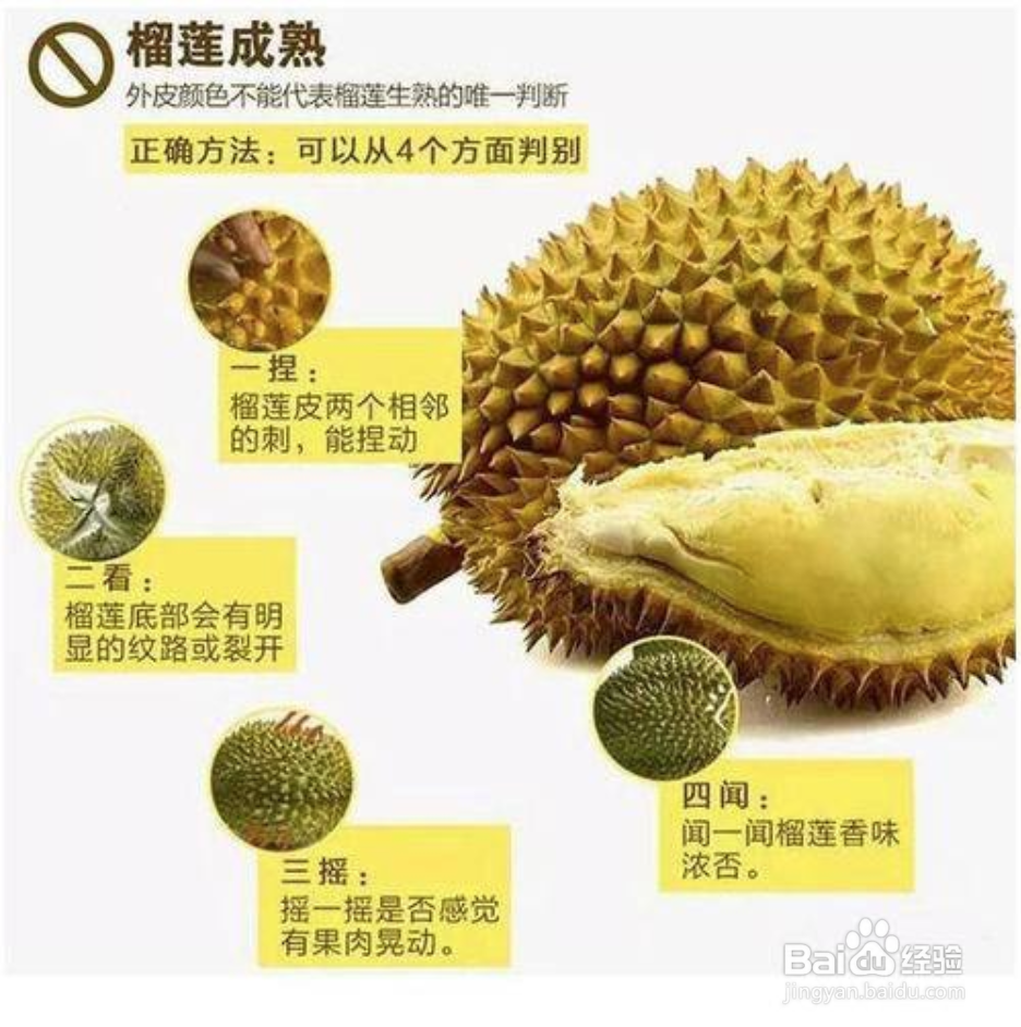 榴莲怎么看好坏