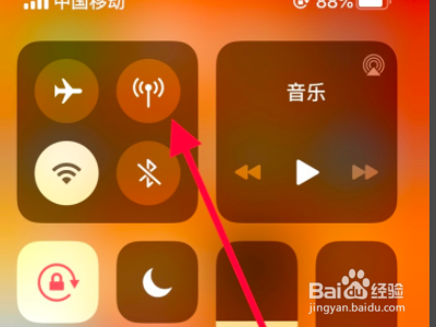 苹果手机蜂窝网络打不开