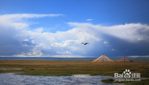 自驾游去哪里？适合自驾游