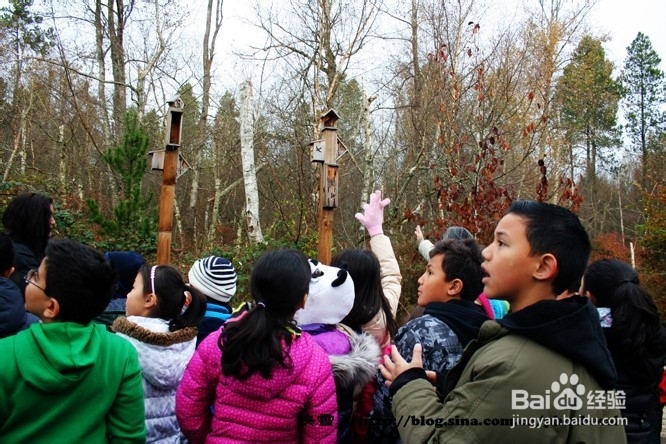 温哥华小学生郊游学什么
