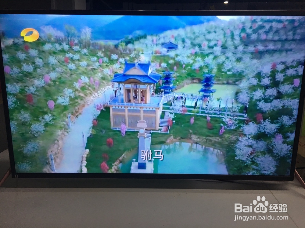 智能电视上怎么免费收看凤囚凰最新集