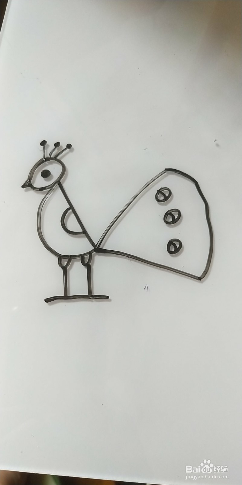 怎么画简笔画孔雀？