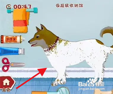 拯救小柴怎么过关