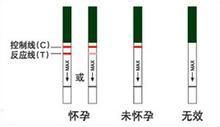女性怀孕多久能测出来？