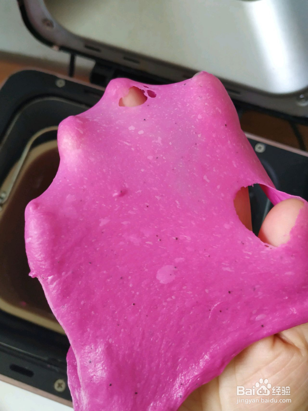 火龙果软欧的做法