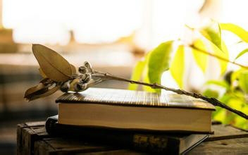 “细处摄神”出文采