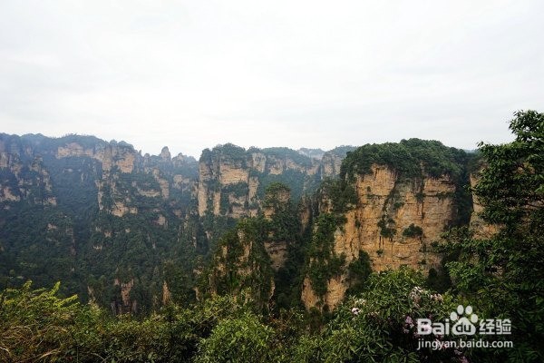 2016暑假张家界旅游(自助游省钱版)