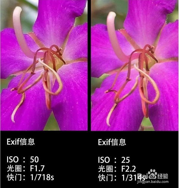 三星Note7拍照对比iPhone 6s Plus