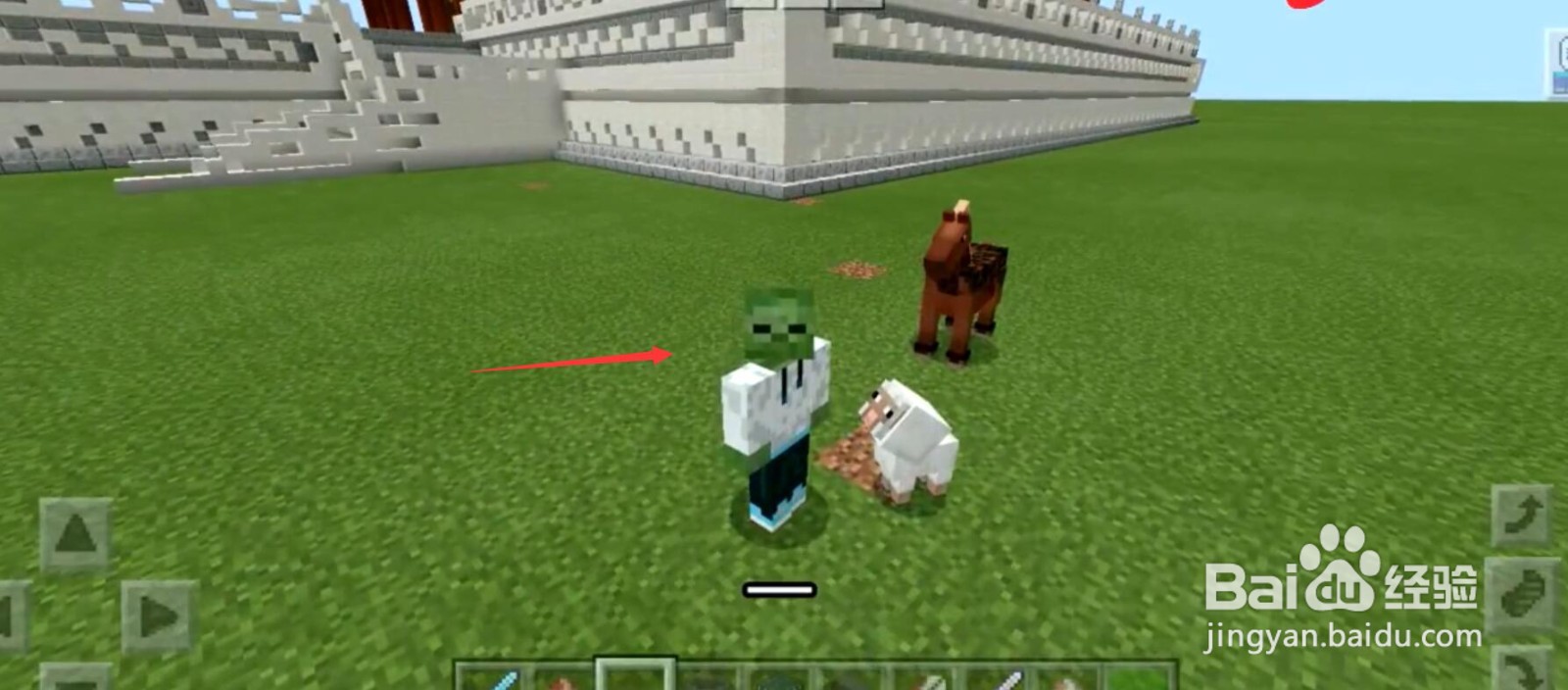 我的世界怎么得到羊毛