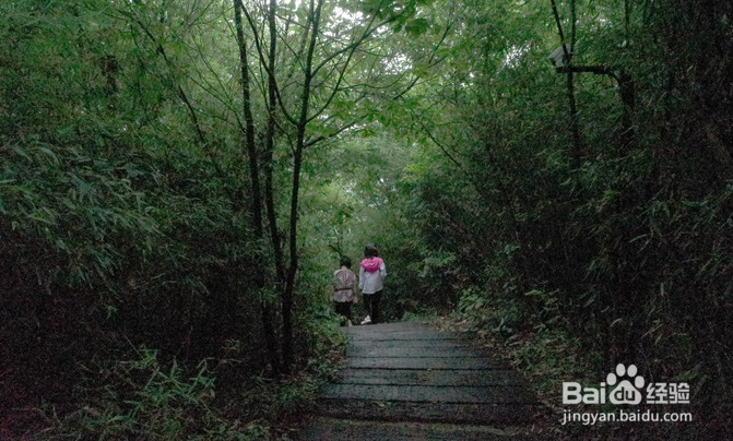登山戸外运动注意什么