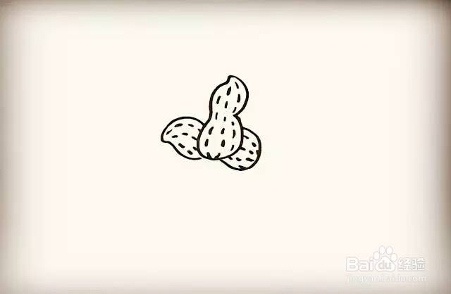 简笔画怎么画花生