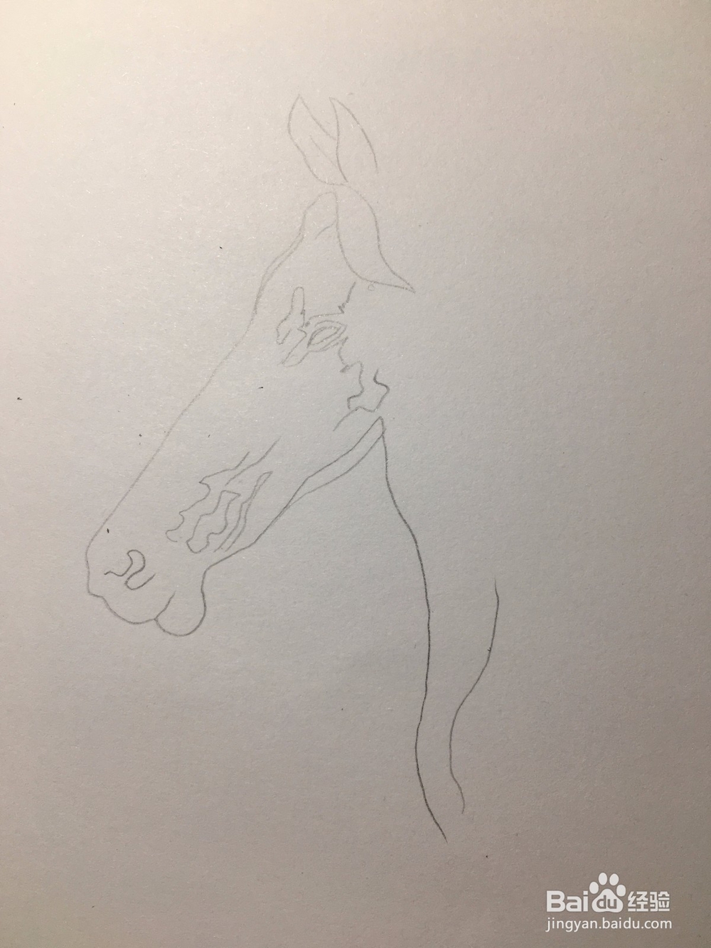 马的简笔画 马的抽象线描画