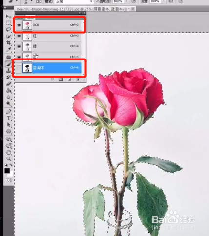 PS如何快速精细抠图？