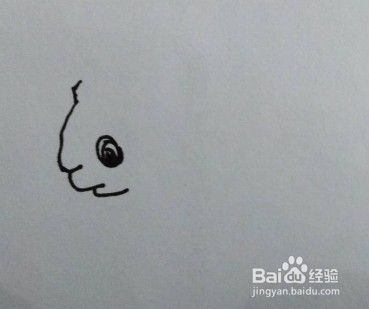 大熊猫画法教程（1）怎么画，如何画大熊猫？