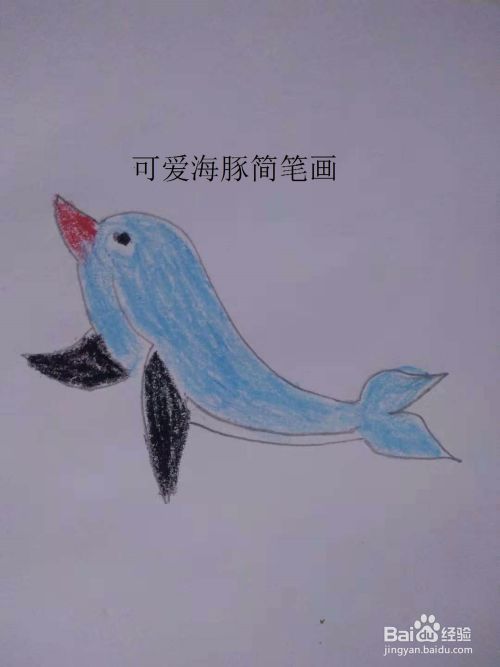 可爱海豚简笔画画法 百度经验