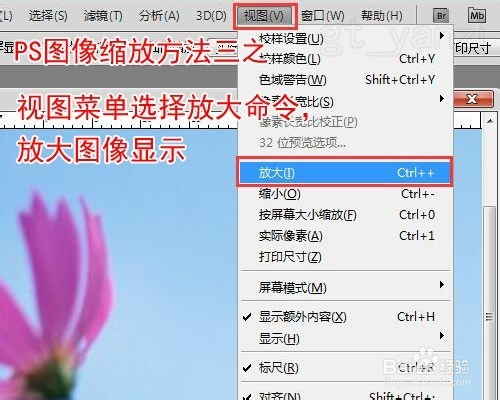 放大镜的样子,圆圈中会变成-号,此时用鼠标点击图像,可将图像缩小一半