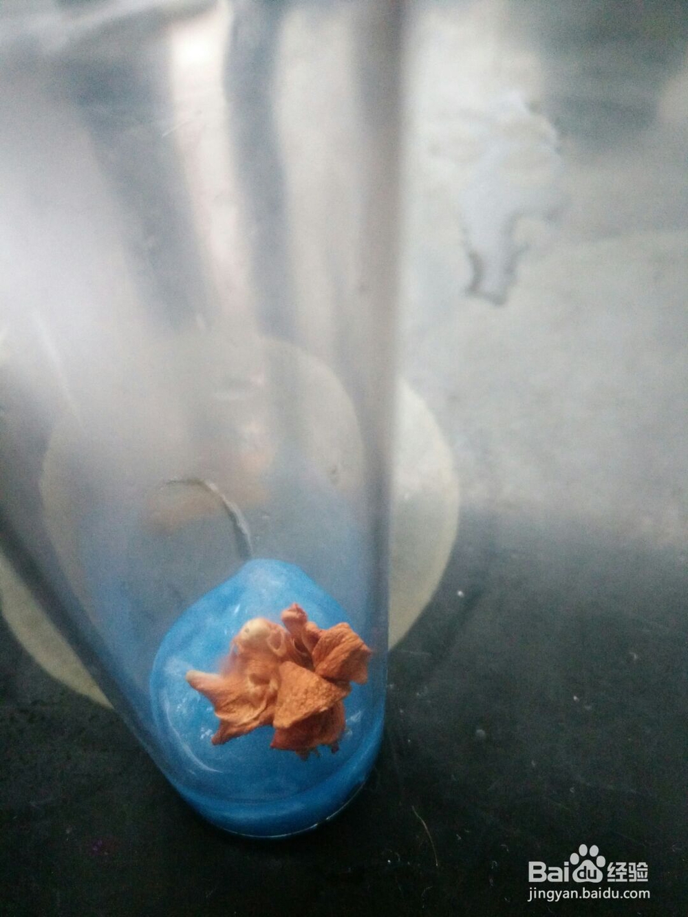 简单的许愿瓶