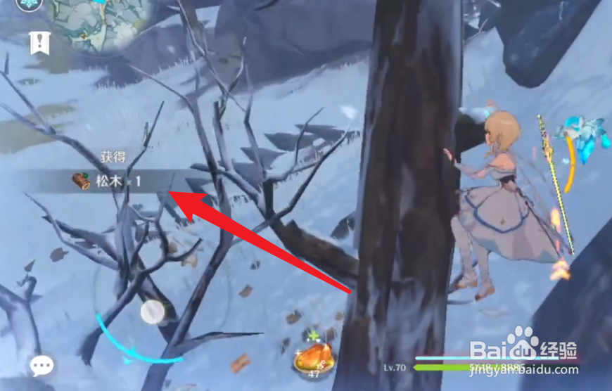 原神1.5如何获得松木