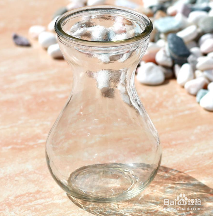 风信子怎么换水