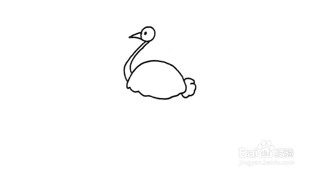 鸵鸟简笔画怎么画