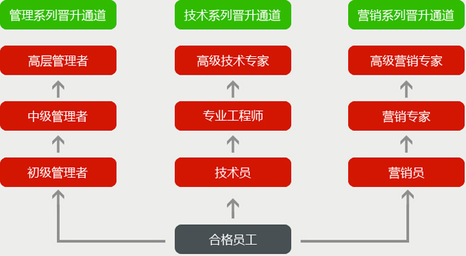 职业发展的方向有哪些