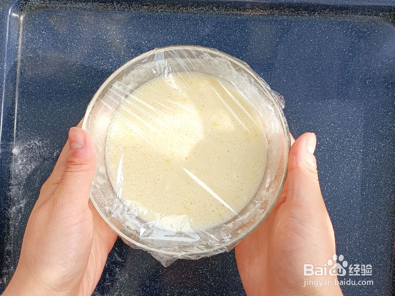 山药蔓越莓卷