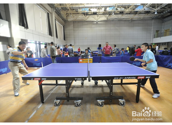 新手应该怎样学习乒乓球？