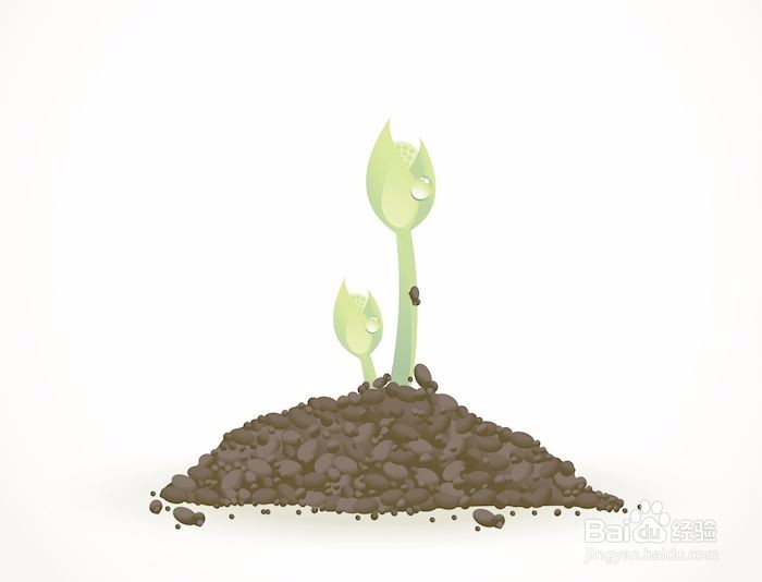 如何种植种子植物呢