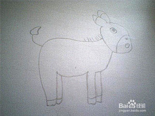 简笔画怎样画小毛驴